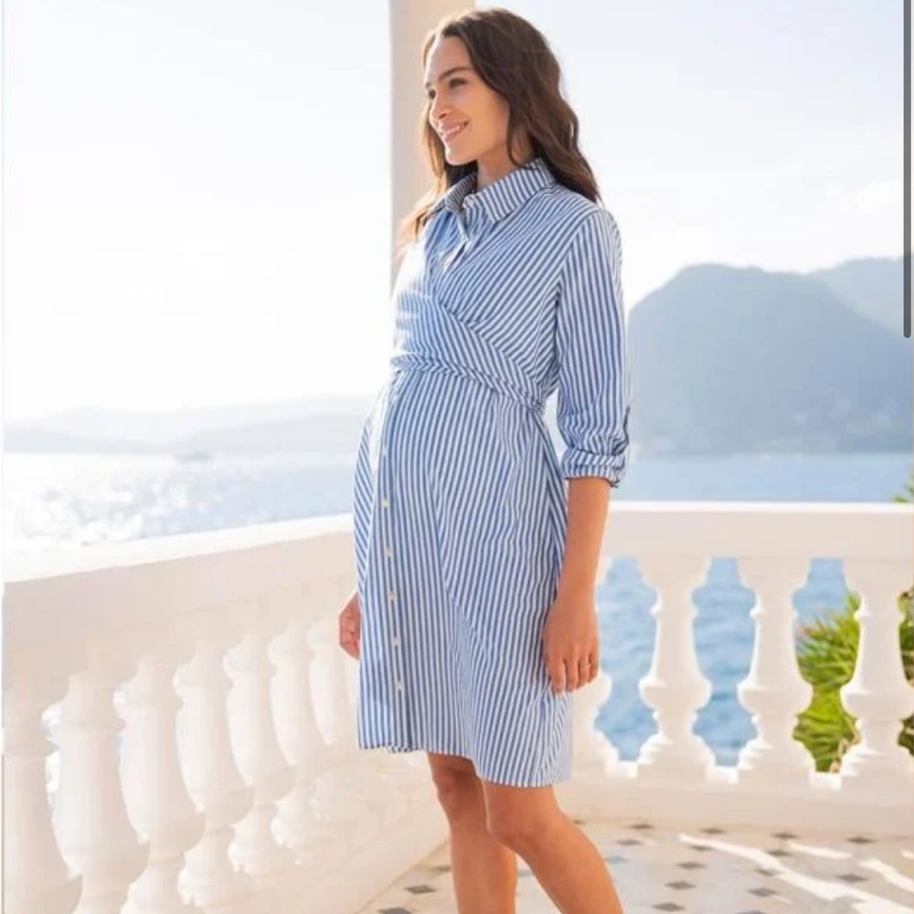 Seraphine Maternity & Nursing Shirt Dress